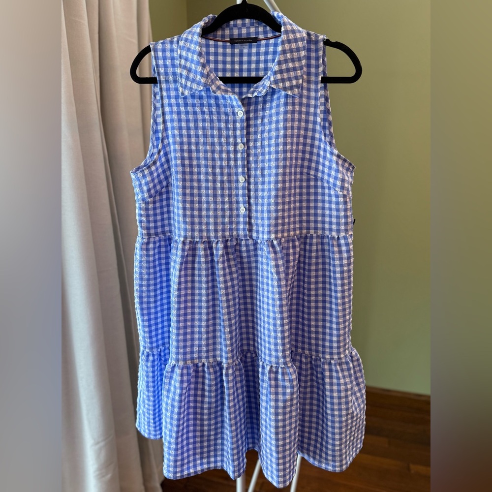 Tommy Hilfiger Blue and White Gingham Kids Dress